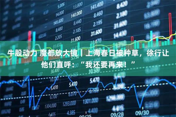 牛股动力 魔都放大镜｜上海春日被种草，徐行让他们直呼：“我还要再来！”