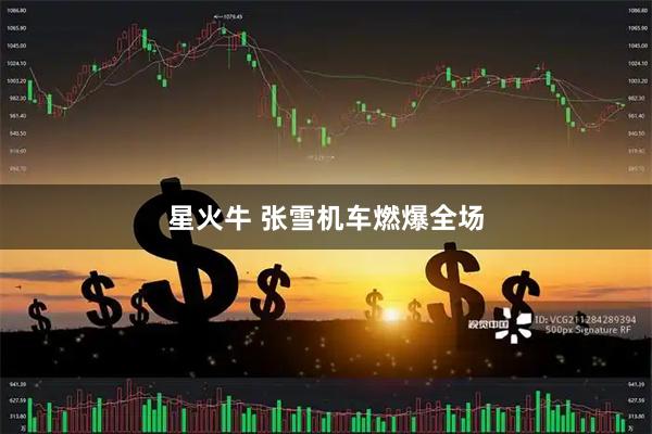 星火牛 张雪机车燃爆全场